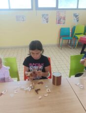19/09/26 Perlins/Fripounets